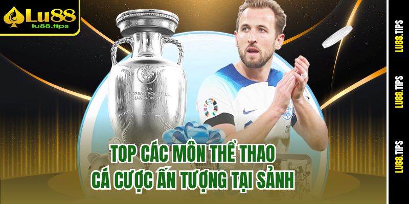Top các bộ môn cá cược ấn tượng tại thể thao K-Sports